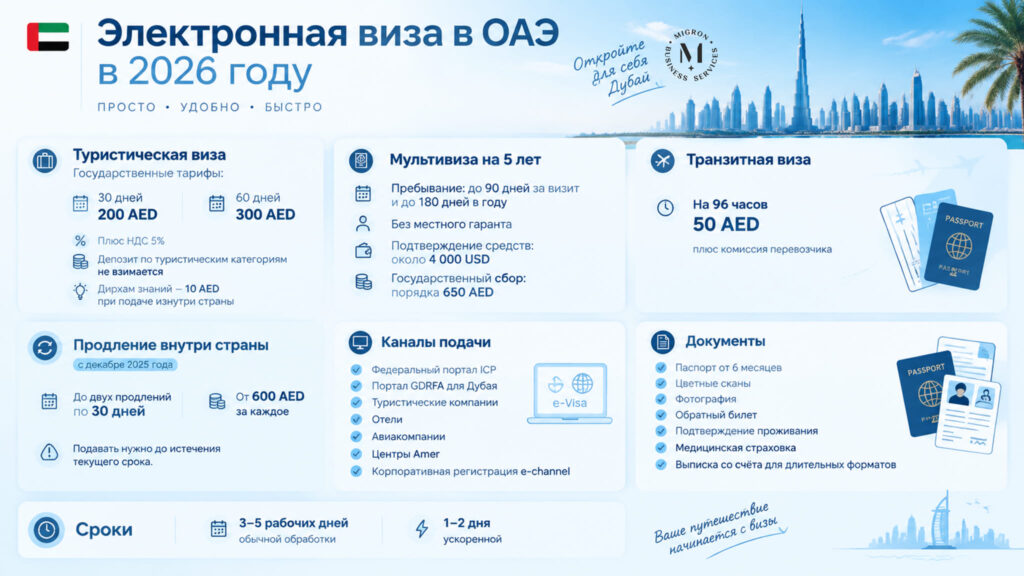 Электронная e-Visa в ОАЭ инфографика